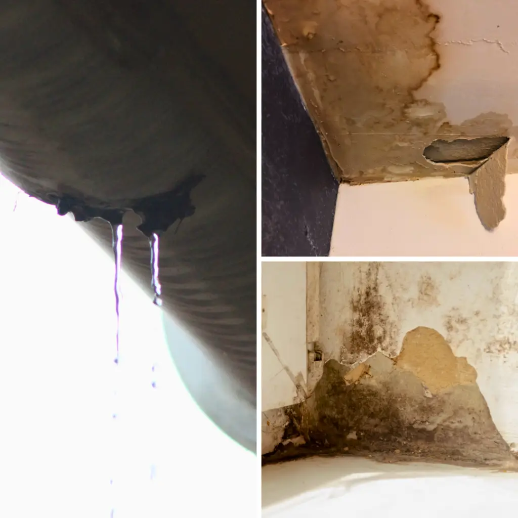 3 photos représentant des infiltrations en toitures